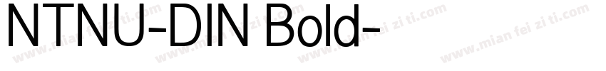 NTNU-DIN Bold字体转换